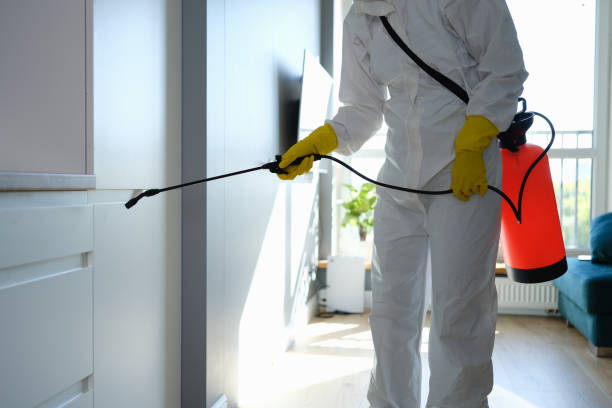Best Kitchen Mold Remediation in Coleman, MI